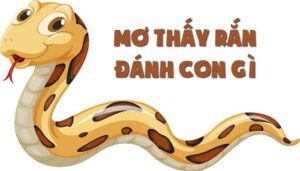 Mơ thấy nhiều rắn đánh con gì? Điềm báo gì liên quan?