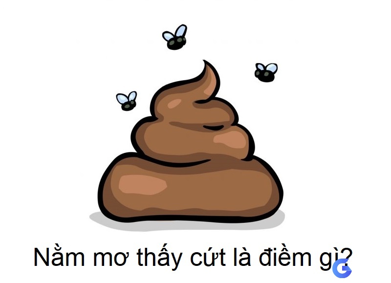 Giải mã giấc mơ thấy cứt có cả điềm báo may và xui