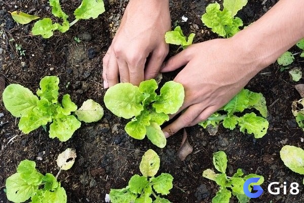 Ghi nhớ tình tiết chiêm bao để có được giải mã chuẩn xác