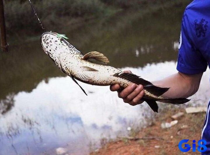 Giải mã giúp tiên đoán chuyện tương lai
