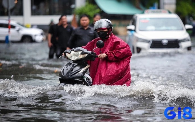 Nắm bắt dự báo để ứng phó hợp lý với sự thay đổi trong tương lai