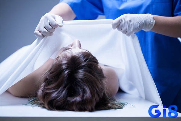 Dự báo giúp chủ mộng ứng phó với chuyện tương lai