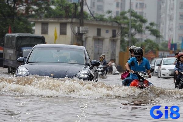Chiêm bao thấy nước ngập có con số dựa trên tình huống mơ
