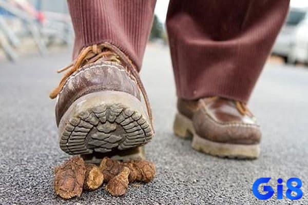 Hình dung trải nghiệm mơ để luận giải chuẩn xác nhất