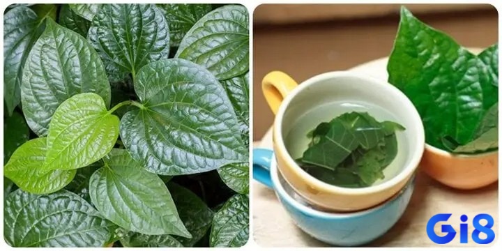 Mơ thấy lá lốt đánh đề con gì để gia chủ ôm bội tiền về?