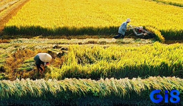 Việc giải mã giấc mơ được dựa theo từng bối cảnh
