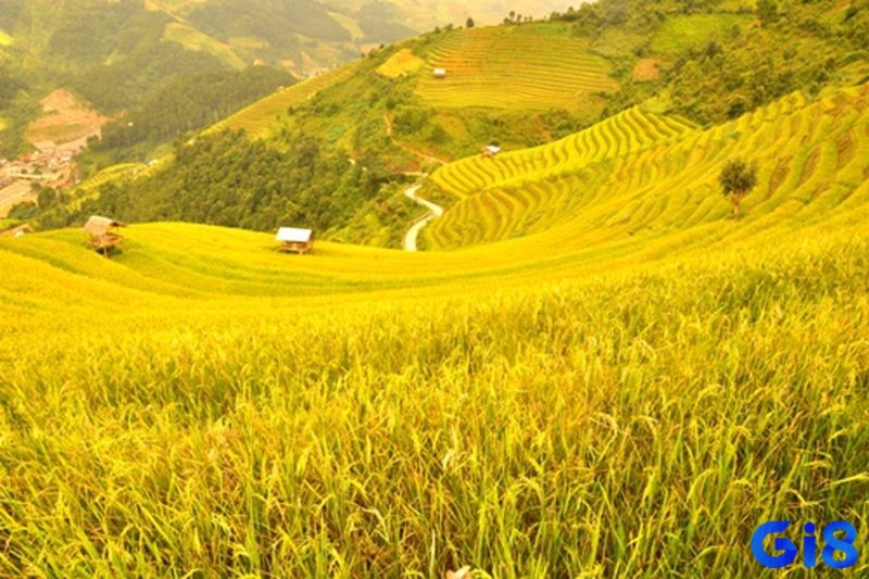 Điềm báo tốt xấu dựa theo từng tình tiết xảy ra trong mơ