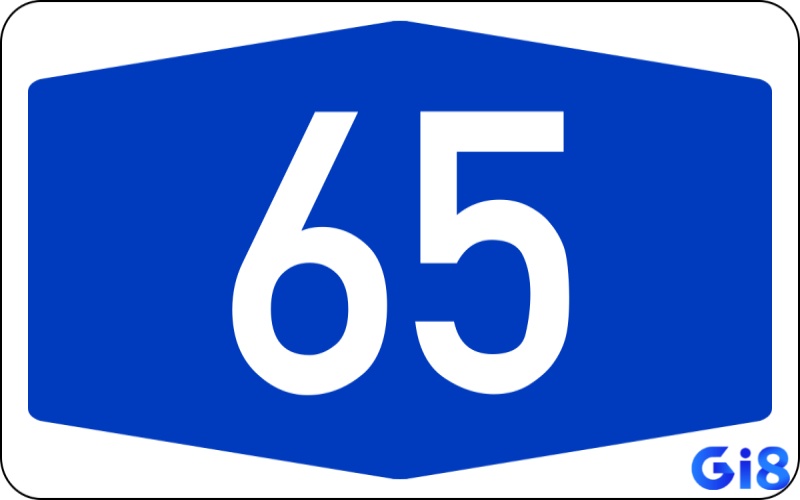 Giải thích đề về 65 mai đánh lô gì