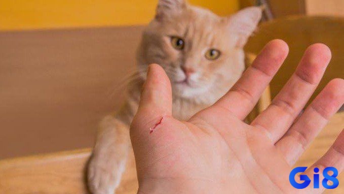 Gia chủ hình dung rõ những tình tiết trong mơ để giải mã
