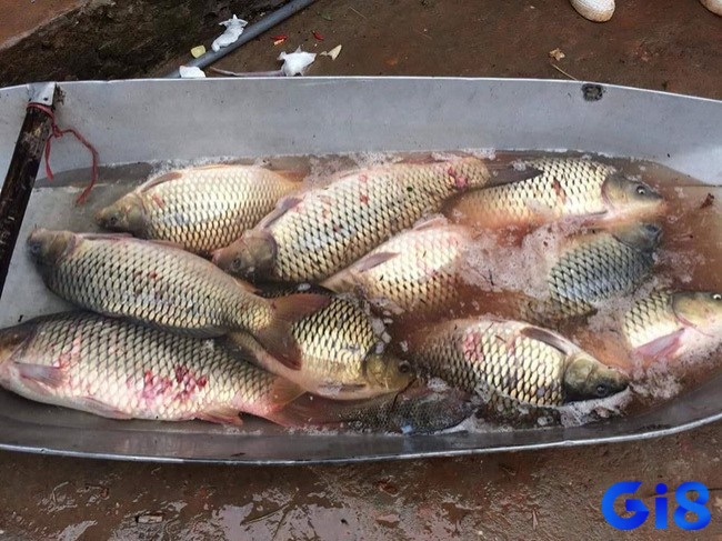 Nắm rõ điềm báo để chuẩn bị cho tương lai
