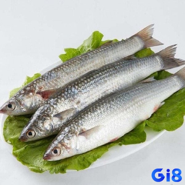 Mơ thấy cá giúp chủ mộng có thể phát lộc như ý