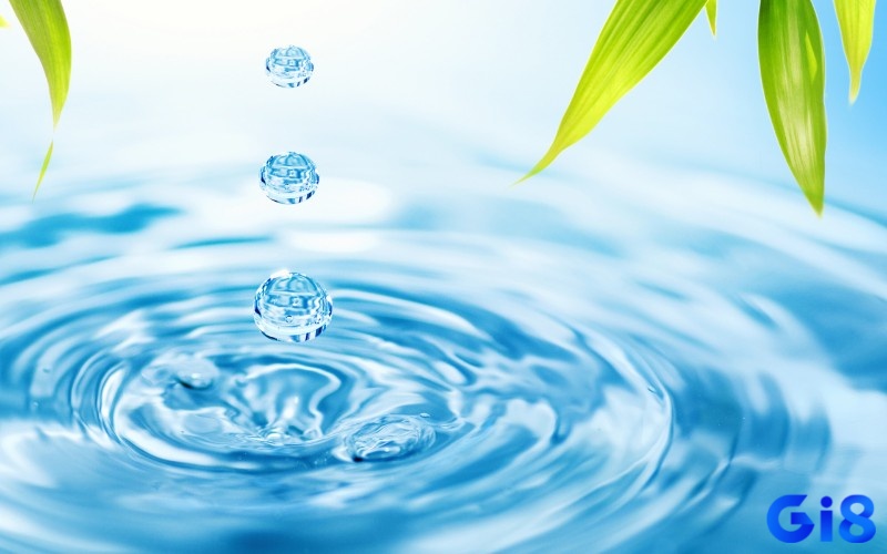 Giải giấc mơ thấy nước để biết được sự kiện tương lai
