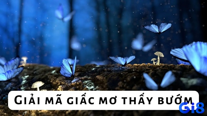 Giải mã giấc mơ thấy bướm phân chia theo từng hoàn cảnh mơ