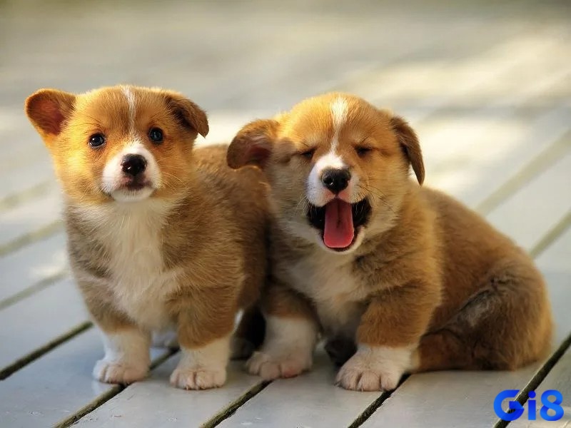 Nắm rõ điềm báo tâm linh để chuẩn bị cho tương lai