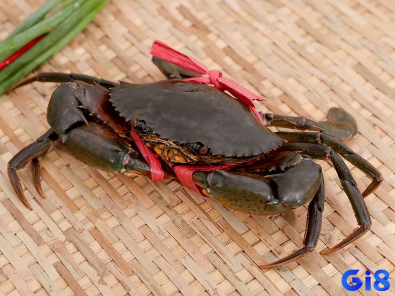 Chủ mộng có thể trúng tiền lô đề khi mơ thấy cua
