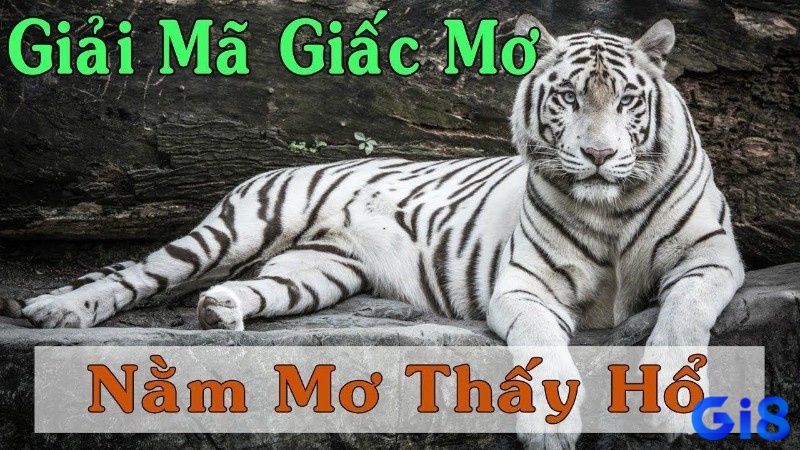 Giải mã giấc mơ thấy hổ phân theo từng trải nghiệm cụ thể