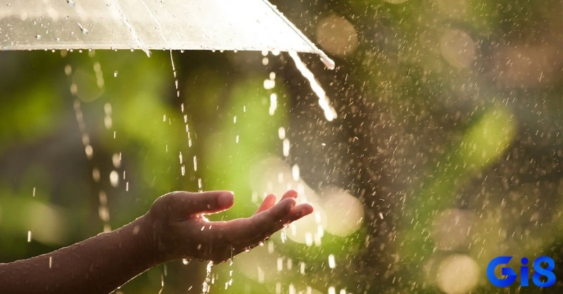 Giải mã giấc mơ thấy mưa sẽ giúp người trải nghiệm dự đoán tương lai
