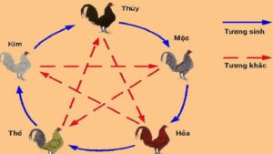 Cách xem ngày đá gà chuẩn xác nhất: Bí quyết chọn ngày hên