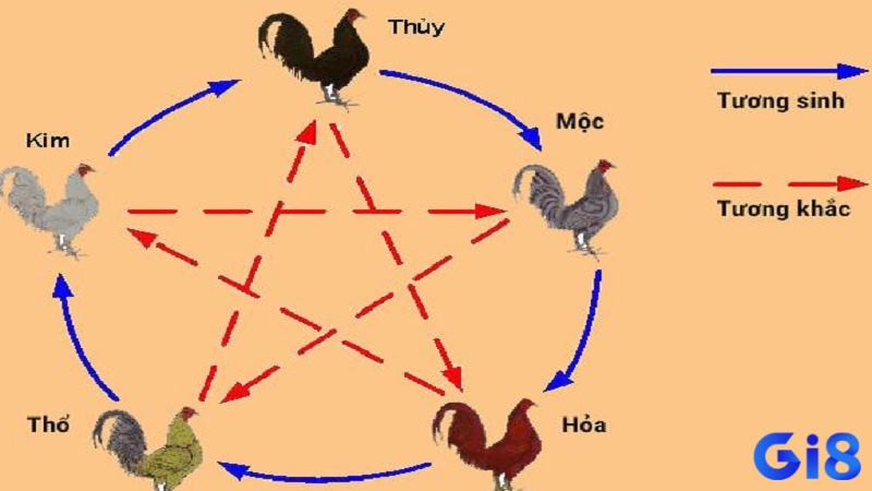 Cùng gi8 khám phá cách xem ngày đá gà chuẩn xác nhất nhé