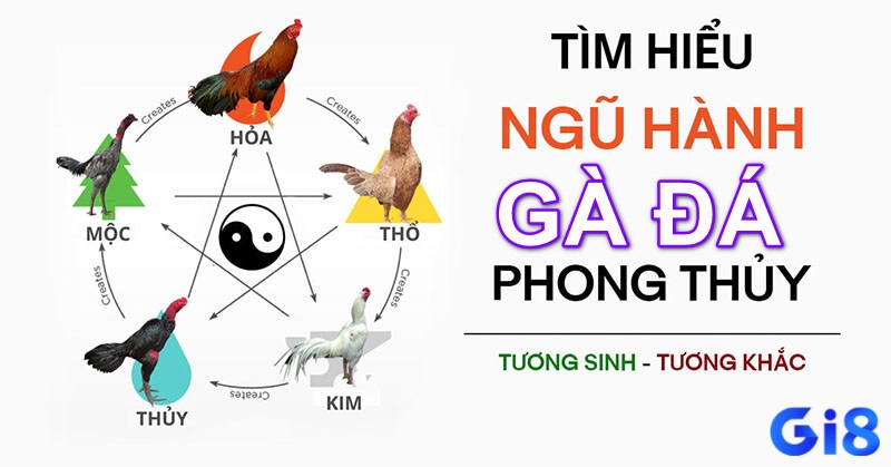 Chọn ngày đá gà theo ngũ hành tương sinh hoặc tương hợp giúp gia tăng may mắn, như Mộc cho Hỏa