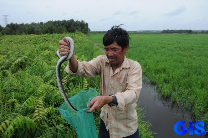 Ghi nhớ hình ảnh mơ để phân tích chính xác