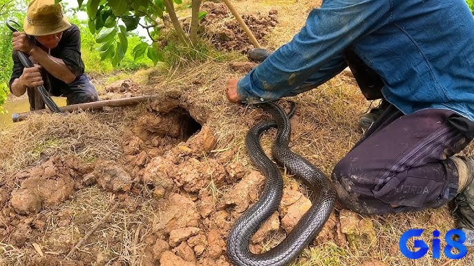 Chiêm bao mang lại cảm giác sợ hãi cho nhiều người
