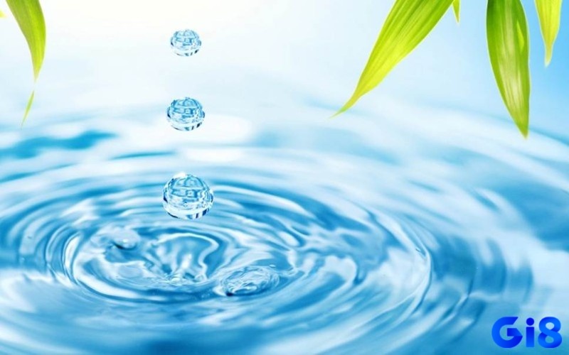 Chiêm bao mang lại những ý nghĩa đặc biệt