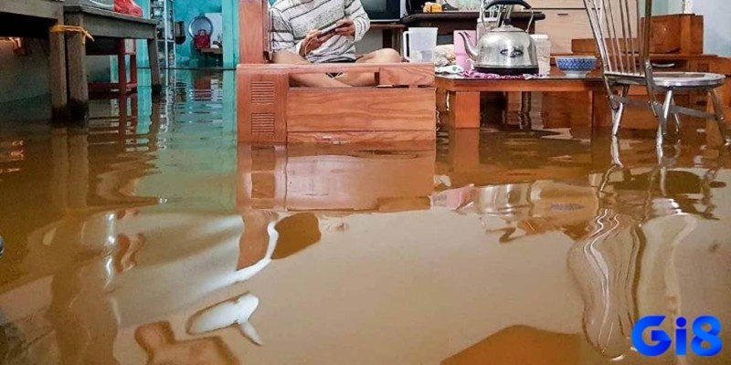 Điềm báo dựa trên từng chi tiết mơ cụ thể
